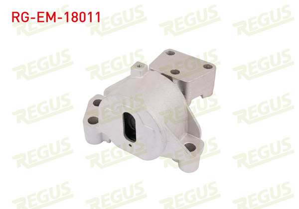 REGUS RG-EM-18011 | Motor Takozu Fiorino 1.3 Mtj / Bipper 1.3 Mtj / Nemo 1.3 Mtj