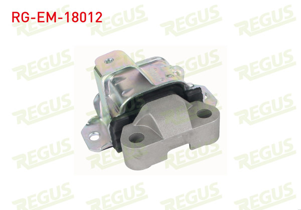 REGUS RG-EM-18012 | Motor Takozu Fiorino 1.3 Mtj / Bipper 1.3 Mtj / Nemo 1.3 Mtj