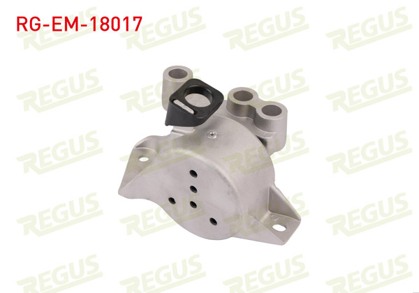 REGUS RG-EM-18017 | Motor Takozu Doblo 1.6 Mtj 2010 -