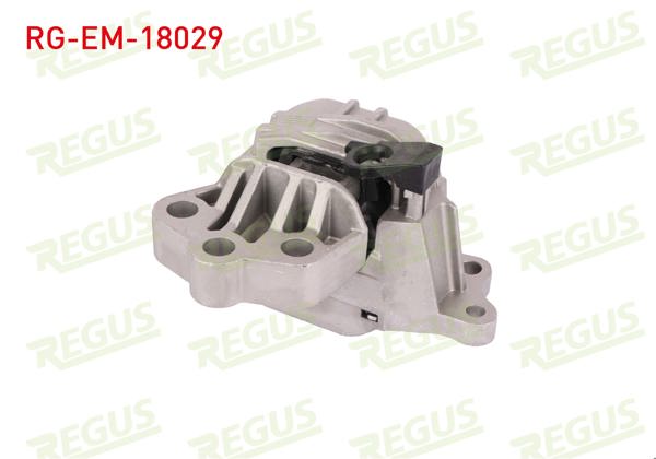 REGUS RG-EM-18029 | Motor Takozu Egea 1.4