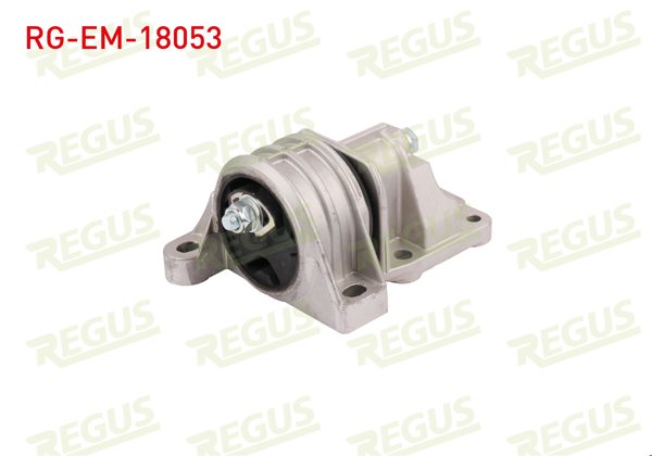 REGUS RG-EM-18053 | Motor Takozu Ön Sol Fiat Ducato (244) 2.0 JTD 2002-2006