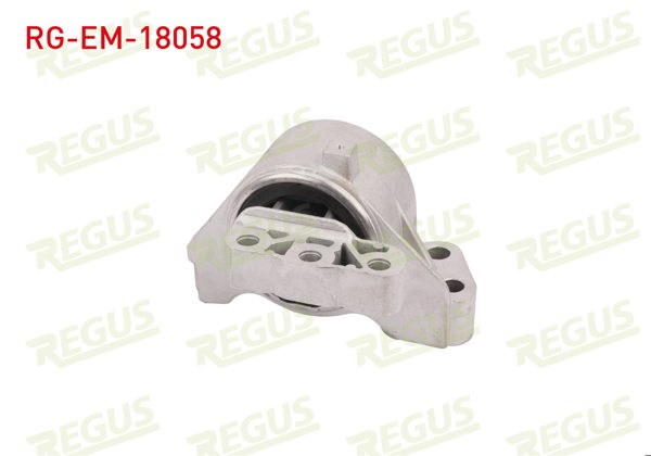 REGUS RG-EM-18058 | Motor Takozu Bipper-Nemo 1.4 HDI 2008 -