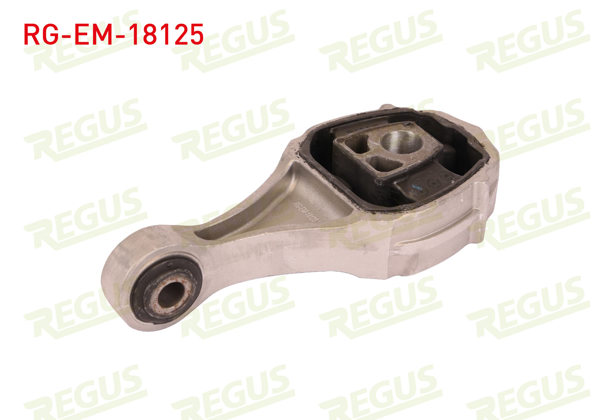 REGUS RG-EM-18125 | Motor Takozu Arka Egea 1.0 Fırefly 2020 -