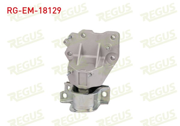 REGUS RG-EM-18129 | Motor Takozu Ducato 2.3 Mtj 2006 -