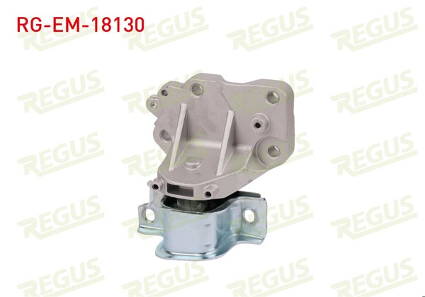REGUS RG-EM-18130 | Motor Takozu Ducato / Boxer / Jumper 3.0 JTD 2006 -