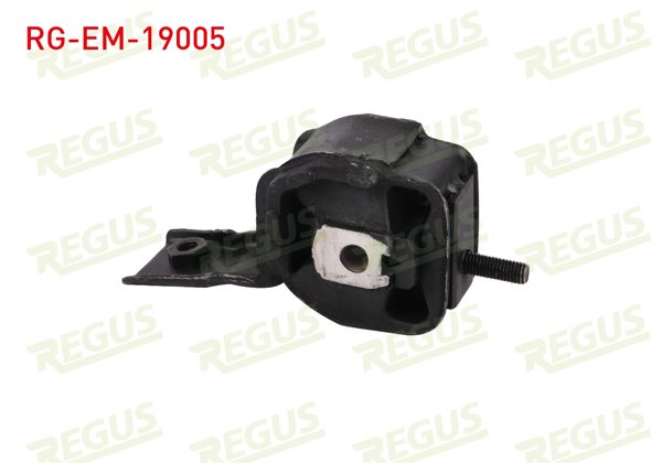 REGUS RG-EM-19005 | Motor Takozu Ford Escort 1990-2000