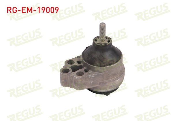 REGUS RG-EM-19009 | Motor Takozu Ön Sağ Ford Focus I (Daw,Dbw) 1.6İ 16V 1998-2004