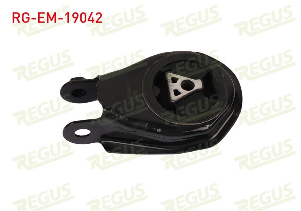 REGUS RG-EM-19042 | Motor Takozu Arka Alt Ford C-Max I 1.6 TDCI 2007-2011