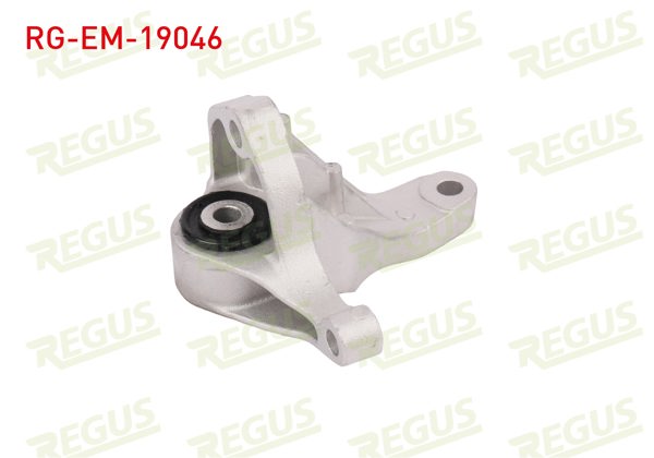 REGUS RG-EM-19046 | Motor Takozu Arka Sol Ford Focus II (Da) 1.6 TDCI 2004-2011