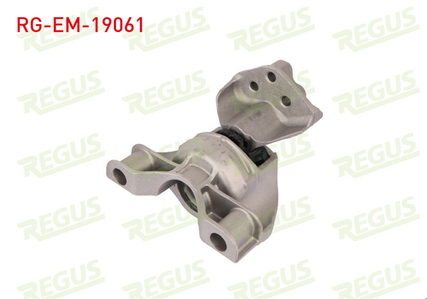 REGUS RG-EM-19061 | Motor Takozu Yağlı Ford Tourneo Courıer 2014 -