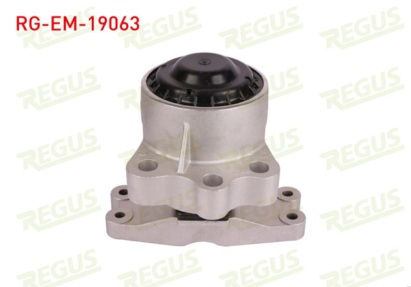 REGUS RG-EM-19063 | Motor Takozu Transit Custom V362-Transit V363