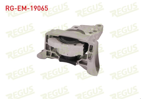 REGUS RG-EM-19065 | Motor Takozu Focus III 2.0 TDCI 2014-/ C-Max 2.0 TDCI 2015 -