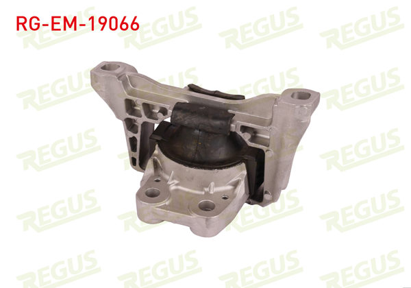REGUS RG-EM-19066 | Motor Takozu Focus III 2.0 TDCI 2010-/ C-Max 2.0 TDCI 2007-/ Volvo S40 2.0D 2004 -