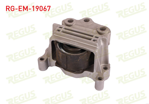 REGUS RG-EM-19067 | Motor Takozu Transit V347 2006 -