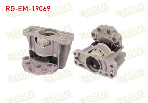 REGUS RG-EM-19069 | Motor Takozu Onden Ceker Transit Custom V362 2012 -