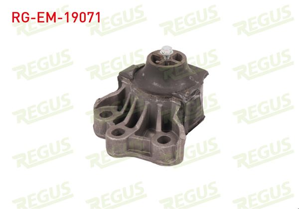 REGUS RG-EM-19071 | Motor Takozu Transit V347 2.2 TDCI 2006 -