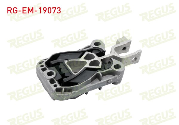 REGUS RG-EM-19073 | Motor Takozu Focus 1.5 Ecoblue 2018 -