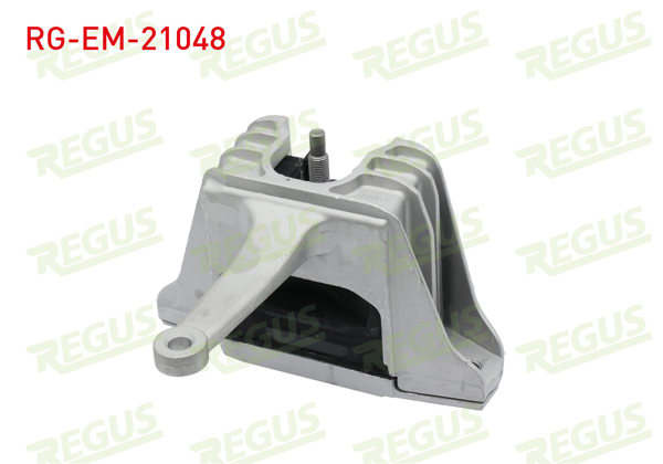 REGUS RG-EM-21048 | Motor Takozu Elantra / i30 1.6