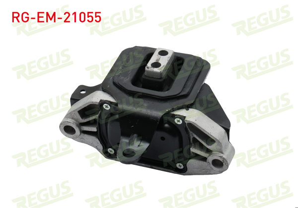 REGUS RG-EM-21055 | Motor Takozu Hyundai Tucson 1.6 CRDI 2018 -