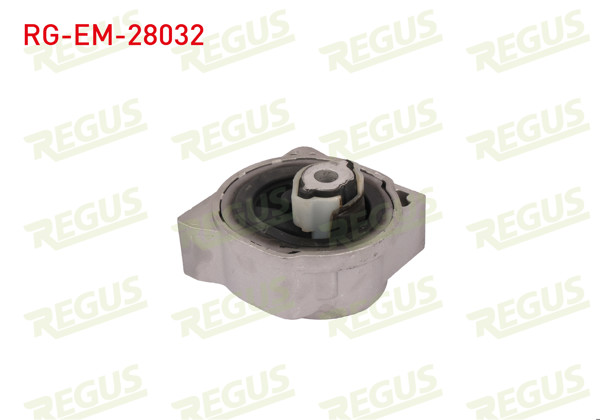 REGUS RG-EM-28032 | Motor Takozu Arka Mercedes A Class (W169) A 150 2004-2012