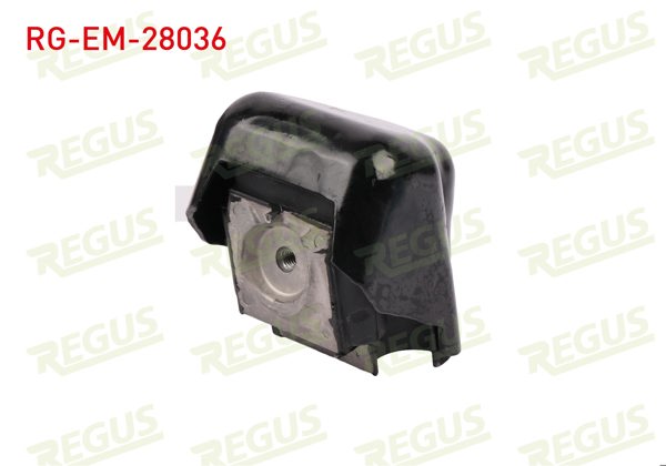 REGUS RG-EM-28036 | Motor Takozu Sağ Mercedes Vito (W639) 2003-2014