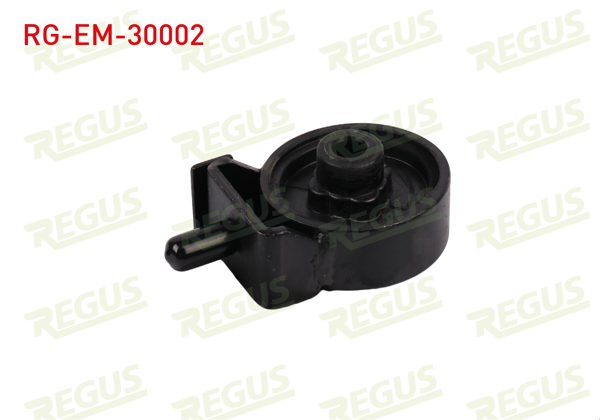 REGUS RG-EM-30002 | Motor Takozu Ön Sol Mitsubishi L 200 (K7t,K6t) 2.5 TD 1996-2007
