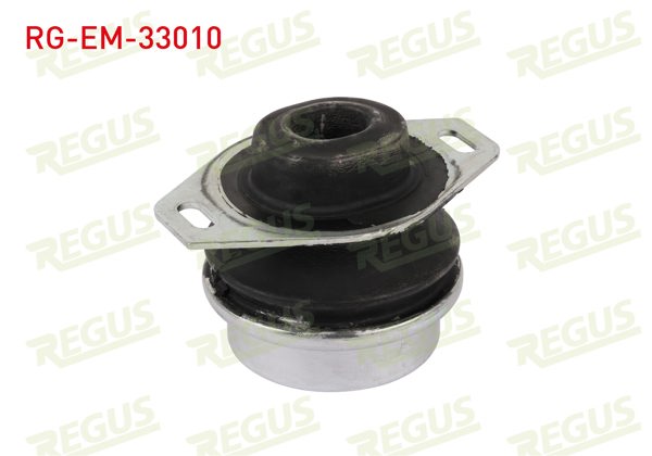 REGUS RG-EM-33010 | Motor Takozu Ön Sol Citroen Jumpy II 2.0 HDI 2006 -