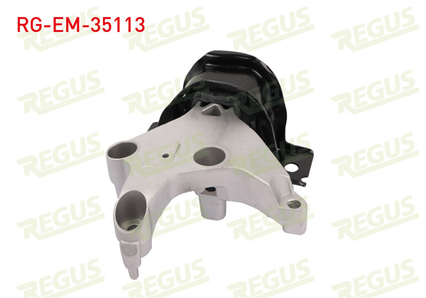 REGUS RG-EM-35113 | Motor Takozu Ön Sağ Yağlı Renault Kangoo (Kw0 / 1) 1.5 DCI 2008 -