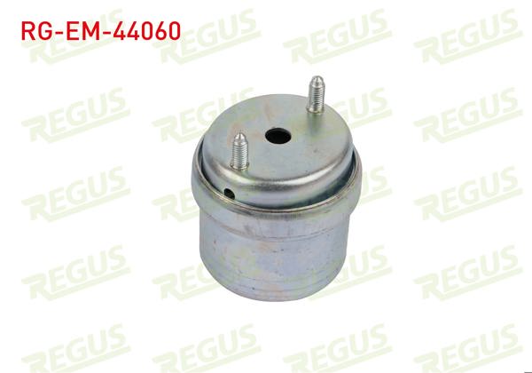 REGUS RG-EM-44060 | Motor Takozu Ön Sağ Volkswagen Transporter IV (70Xb,70Xc,7Db,7Dw) 2.5 TDI 1990-2003