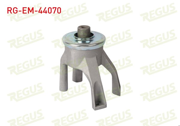 REGUS RG-EM-44070 | Motor Takozu Arka Alt Ahtapot Volkswagen Transporter V (7Ha,7Hh,7Ea,7Eh) 2.0 TDI 2003-2011