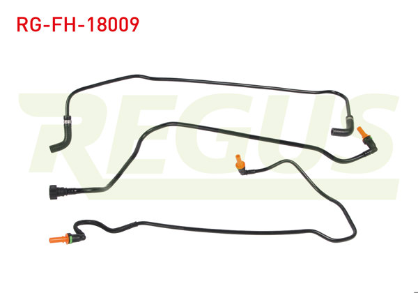REGUS RG-FH-18009 | Yakıt Hortum Takımı Fiat Linea 1.3 Mjt 2009 -