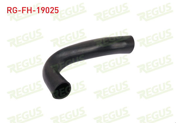 REGUS RG-FH-19025 | Yakıt Hortumu Ford Transit (T15) 2.5 Dı 1994-2000