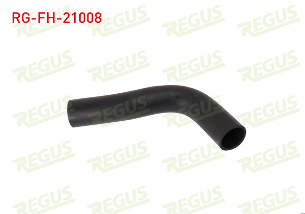 REGUS RG-FH-21008 | Yakıt Hortumu Hyundai H100 2.5 D 1993-2004