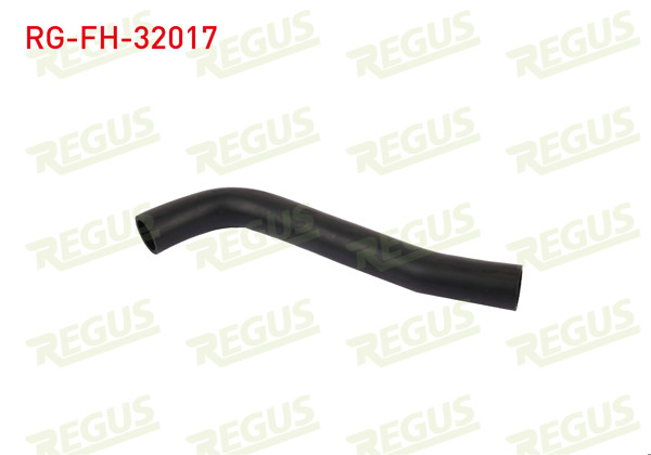 REGUS RG-FH-32017 | Yakıt Depo Hortumu Corsa B