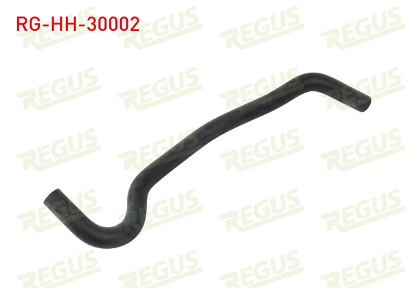 REGUS RG-HH-30002 | Kalorifer Hortumu L200 2.5