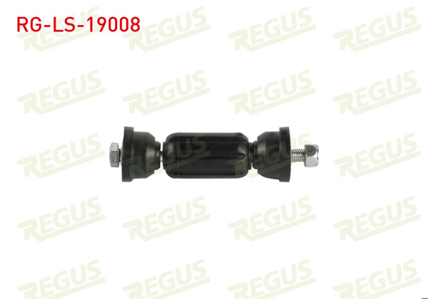 REGUS RG-LS-19008 | Z-Rot Arka Ford Focus I 1998-2004