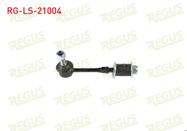 REGUS RG-LS-21004 | Z-Rot Arka Hyundai Accent II 2000-2005
