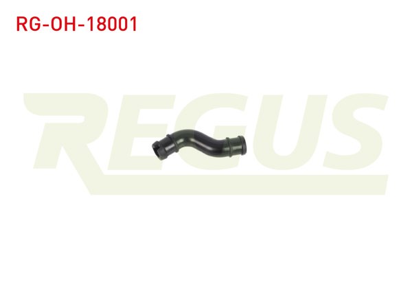 REGUS RG-OH-18001 | Yağ Hortumu Fiat Grande Punto (199) 1.3 Mjt 2005-2012