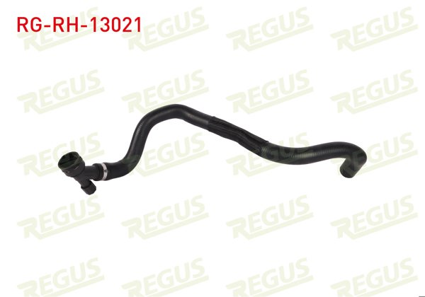 REGUS RG-RH-13021 | Radyatör Hortumu Alt Audi A3 (8L1) 1.6 1996-2003