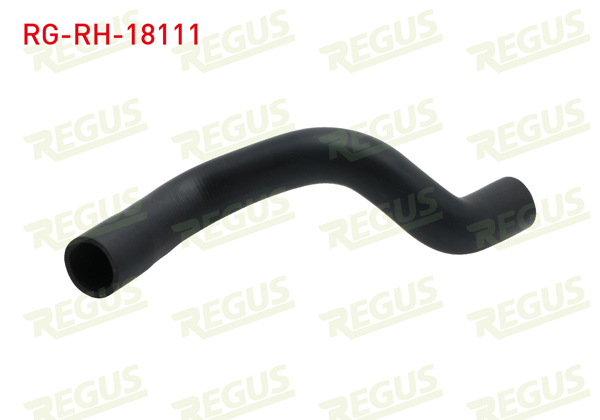 REGUS RG-RH-18111 | Radyatör Hortumu Alt Fiat Linea (323) 1.3 Mjt 2007 -