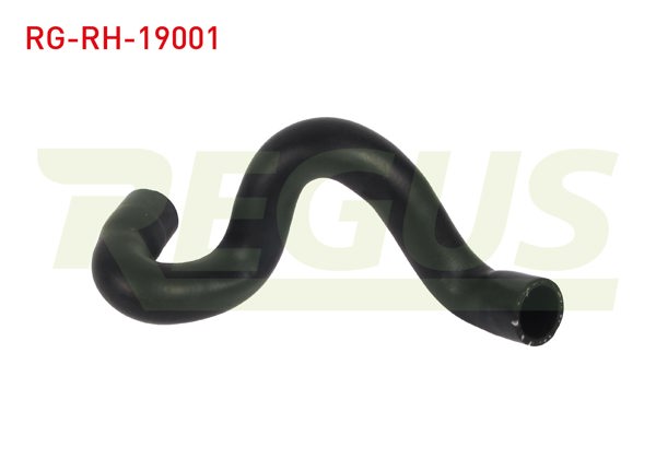 REGUS RG-RH-19001 | Radyatör Hortumu Alt Ford Focus II (Da) 1.4İ 2004-2011