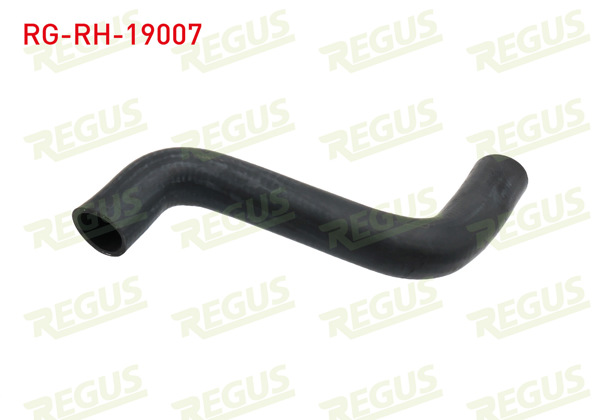 REGUS RG-RH-19007 | Radyatör Hortumu Alt Ford Fiesta V 1.25İ 2001-2008