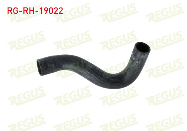 REGUS RG-RH-19022 | Radyatör Hortumu Alt Ford Transit (T15) 2.5 Dı 1994-2000