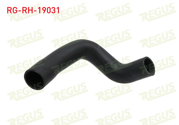 REGUS RG-RH-19031 | Radyatör Hortumu Üst Ford Transit (T15) 2.5 Dı 1994-2000