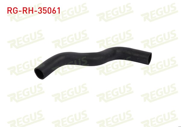 REGUS RG-RH-35061 | Radyatör Hortumu Üst Renault Megane I (Ba0 / 1) 1.4İ 16V 1996-2003