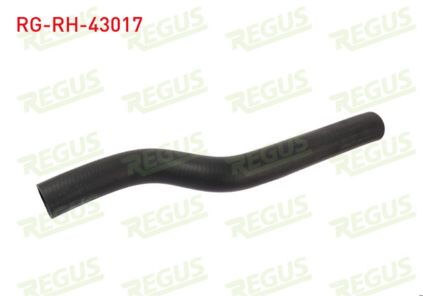 REGUS RG-RH-43017 | Radyatör Hortumu Üst Carina 2.0
