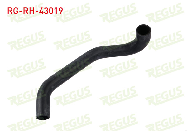 REGUS RG-RH-43019 | Radyatör Hortumu Alt Hilux 2.4