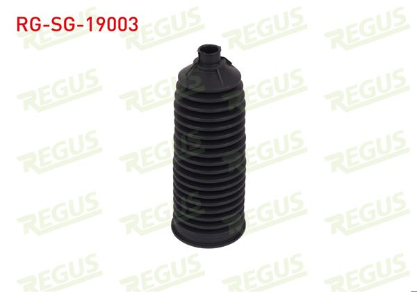 REGUS RG-SG-19003 | Direksiyon Körüğü Kısa Transit V184 / Transit V347