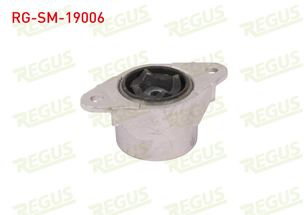 REGUS RG-SM-19006 | Amortisör Takozu Arka Sol-Sağ Ford Fiesta V 1.25İ 2001-2008
