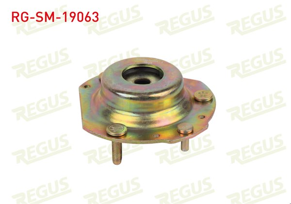 REGUS RG-SM-19063 | Amortisör Takozu Fiesta 2017 -